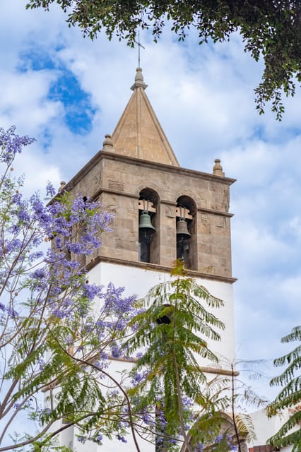 Balades Découverte Teide - La Orotava - Icod de los Vinos - Food and Drink: Tasting Canarian Cuisine