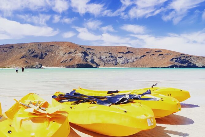 Balandra and Todos Santos Beach Tour from Los Cabos - Key Points