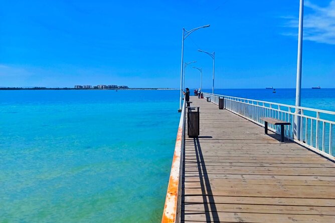 Balandra and Todos Santos Beach Tour from Los Cabos - Practicalities and Logistics of the Tour