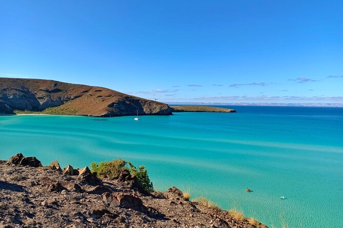 Balandra and Todos Santos Beach Tour from Los Cabos - Worth Considering: Timing and Pace