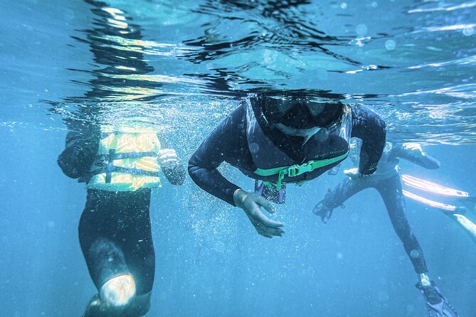 Balandra Bay Snorkeling Adventure - Practical Information and Considerations