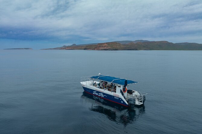Balandra Bay Snorkeling Adventure - Cancellation Policy and Booking Flexibility