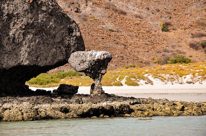 Balandra Beach Escape Snorkel & Wildlife Roundtrip Pichilingue - Small Group Experience Ensures Personal Attention