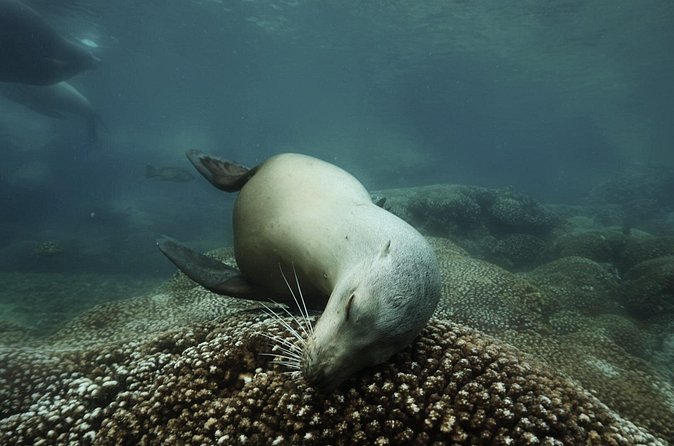 Balandra Private Boat Tour - Flexibility and Customization of the Experience