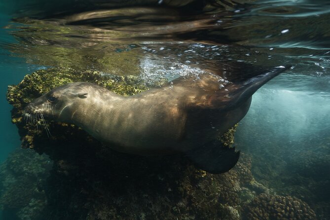 Balandra Private Boat Tour - Logistics: Meeting Point and Weather Considerations