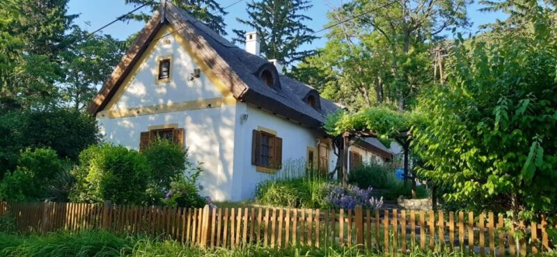 Balaton Full-Day Tour from Budapest - Optional Add-Ons and Extra Fees