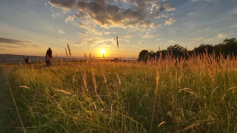 Balaton: Sunset Safari & Solar Telescope Experience for Two - How the Tour Begins at Balatonszárszó Railway Station