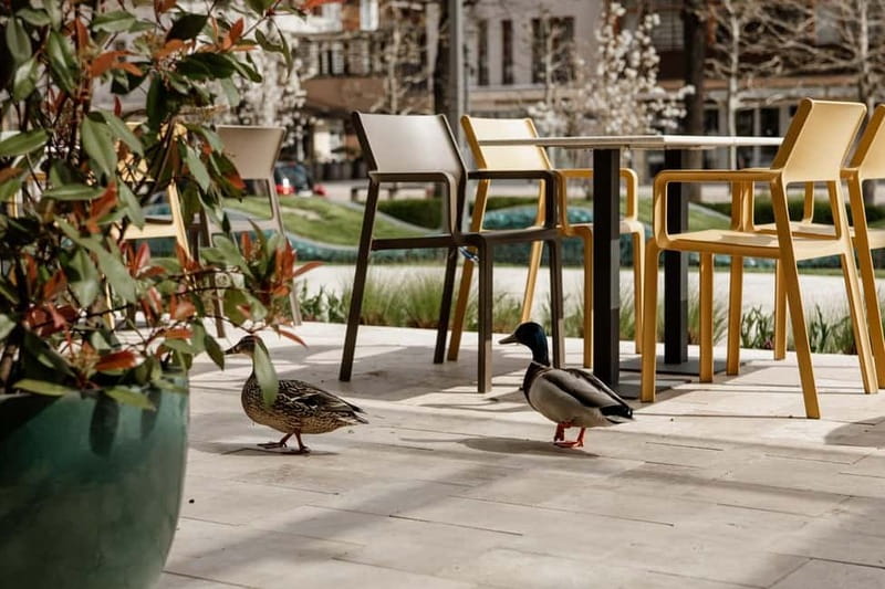 Balatonfüred: Zelna Wine Bistro Tasting Experience - Key Points