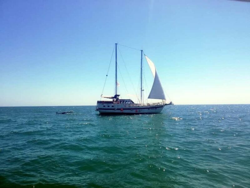 Balchik: 4-Hour Black Sea Cruise With Lunch and Drinks - The Black Sea Boat and Scenic Views