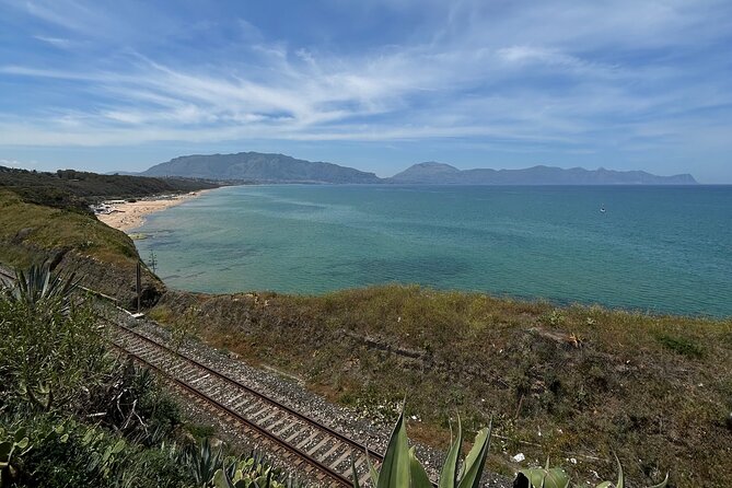 Balestrate Olive Grove Tour: Wine and Olive Oil Tasting - Key Points