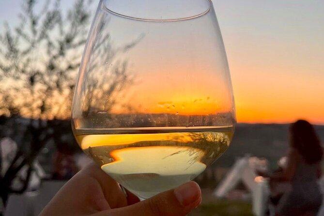 Balestrate Olive Grove Tour: Wine and Olive Oil Tasting - The Scenic Setting of the Sicilian Countryside