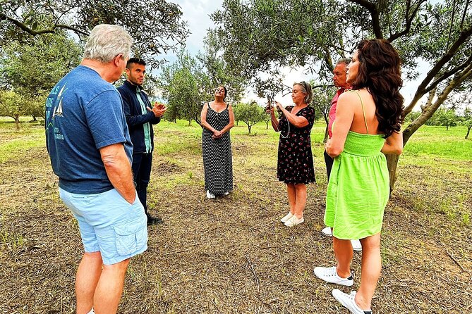 Balestrate Olive Grove Tour: Wine and Olive Oil Tasting - Logistics and Practical Details