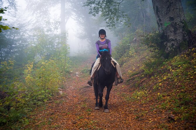 Balkan Horse Riding - Glozhene Monastery Ride - What the Reviews Say About the Experience