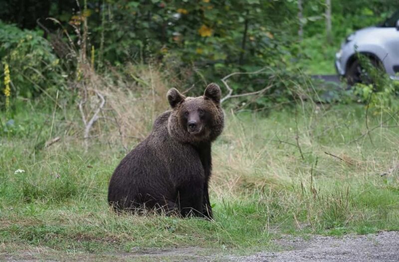 Balkans - Romania: 12-Days Motorcycle Tour 16.08. - 28.08.26 - Accommodation and Included Amenities