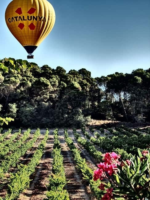 Balloon flight: panoramic view of Montserrat and Transport from Barcelona - Key Points