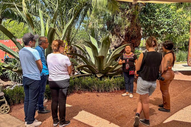 Balloon Flight with Teotihuacan & Guadalupe Shrine Full day Tour - Practicalities of the Tour Logistics