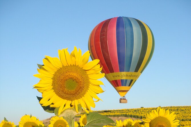 Balloon Rides in Segovia with Optional transportation from Madrid - Starting Point and Timing of the Balloon Flight