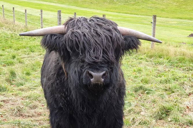 Balmoral Castle Tour From Inverness - Key Points