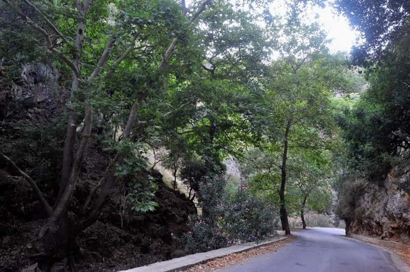 Balos Viewpoint & Falassarna Beach Private Transfer Tour - Practical Tips for a Comfortable Day Out