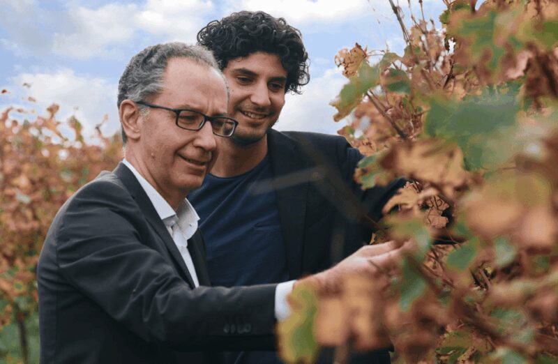 Balsamic Vinegar Tasting & Barrel Tour near Parma & Reggio - Key Points