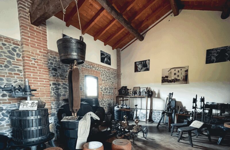 Balsamic Vinegar Tasting & Barrel Tour near Parma & Reggio - Tasting Three Aged Balsamic Vinegars and Parmesan