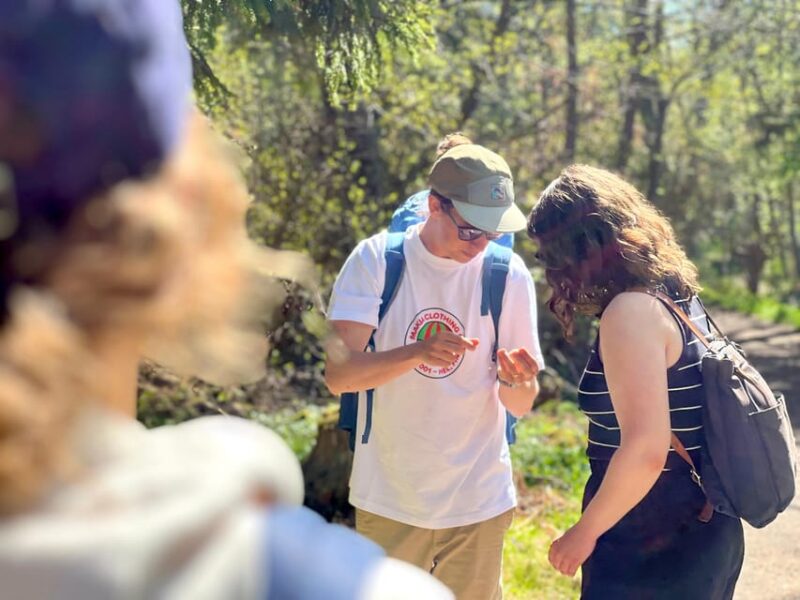 Baltic Bites: A Culinary Nature Experience in Helsinki - Price and Value Proposition