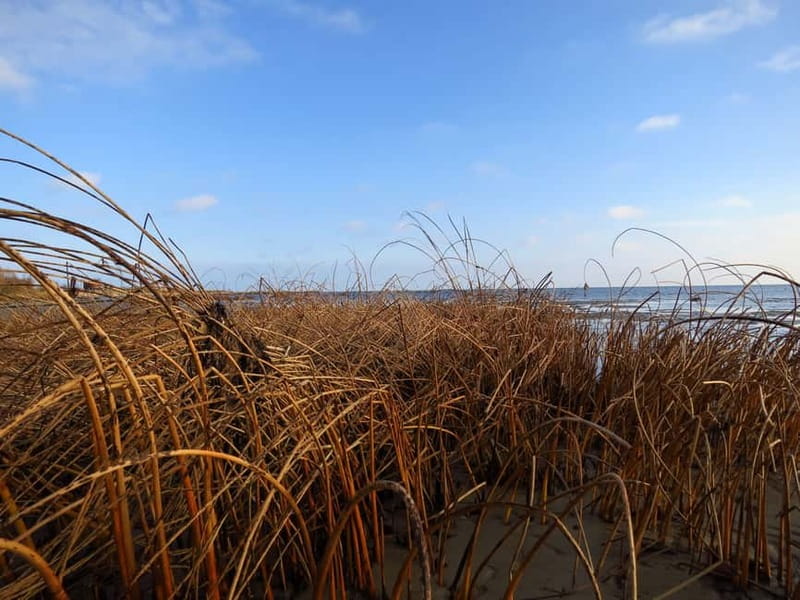 Baltic Sea Coastal Scenery and Cape Kolka From Riga - The vai Steep Nature Trail and Spectacular Coast Views