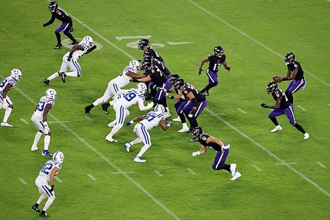 Baltimore Ravens Football Game at M&T Bank Stadium - What the Ticket Includes: Your Pass to the Action