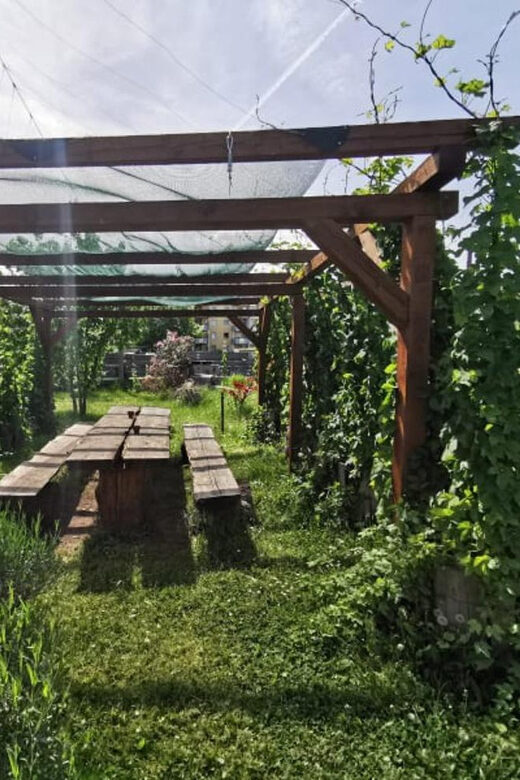 Bamberg: Beer & Brewery Tour - 2 Hour - English Or German - Bamberg Beer & Brewery Tour: The Bottom Line