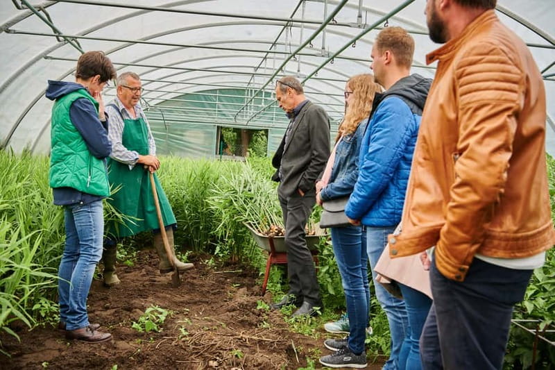 Bamberg: Guided Tour of the Gardeners' District - Visiting Niedermaier’s Organic Market Garden
