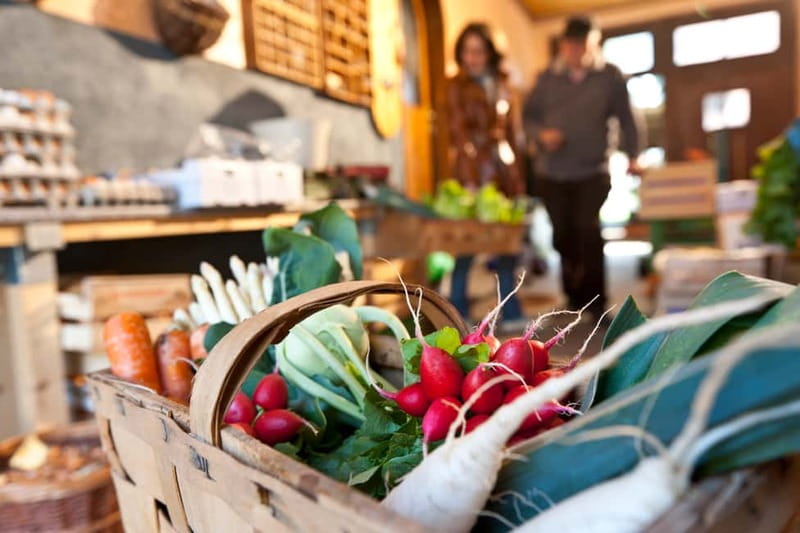 Bamberg: Guided Tour of the Gardeners' District - Who Will Appreciate This Tour Most