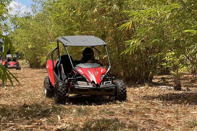 Bamboo Dune Buggy Tour - Fort Meade Location Offers Tropical Farming Views
