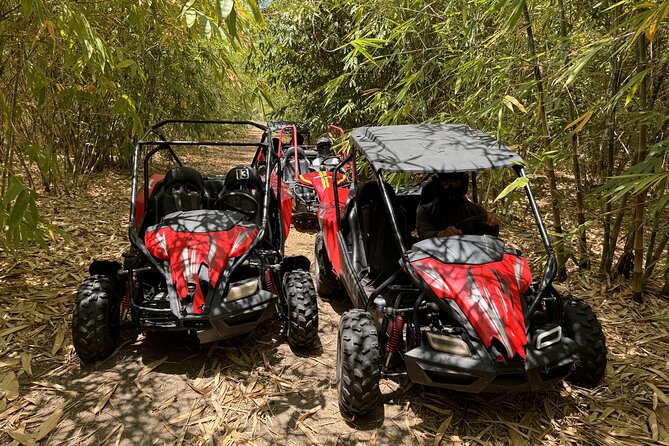 Bamboo Dune Buggy Tour - The Experience is Private and Only for Your Group