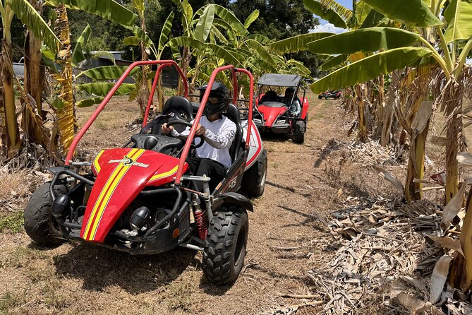 Bamboo Dune Buggy Tour - The Value Compared to Similar Off-Road Experiences