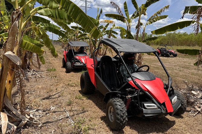 Bamboo Dune Buggy Tour - Limitations and Considerations