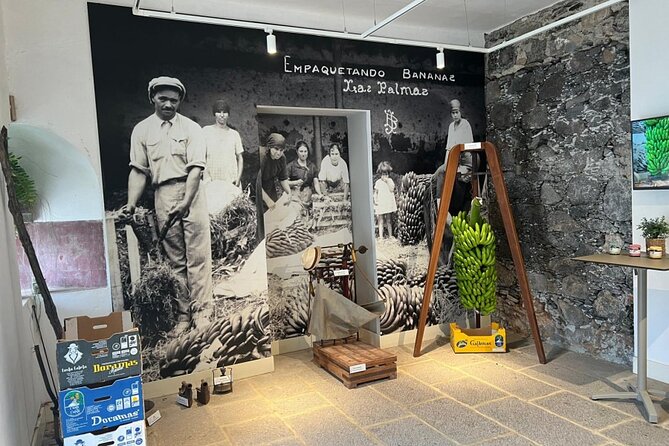 Banana Museum, Rum Distillery & Winery with Tasting: Premium tour - Visiting Bodega Los Berrazales: Wine, Coffee, and Mojo Workshop