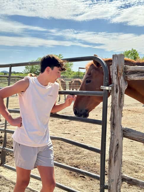 Bandera: Ranch Visit with Longhorns and Horses - Practical Tips for Visitors