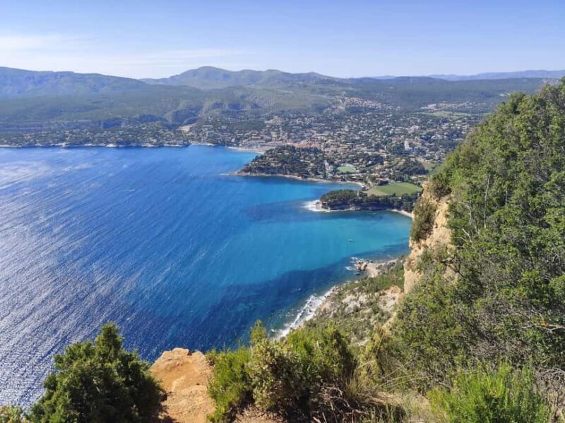 Bandol and Cassis: Full Day Wine Tour from Marseille - Key Points