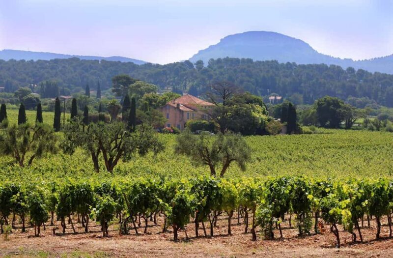 Bandol and Cassis: Full Day Wine Tour from Marseille - Discovering the Charm of Cassis Town