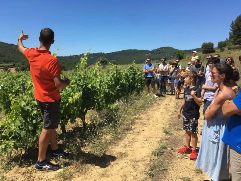 Bandol: family vineyard tour and tasting - Discover Château Canadel’s Family Vineyard Experience in Bandol