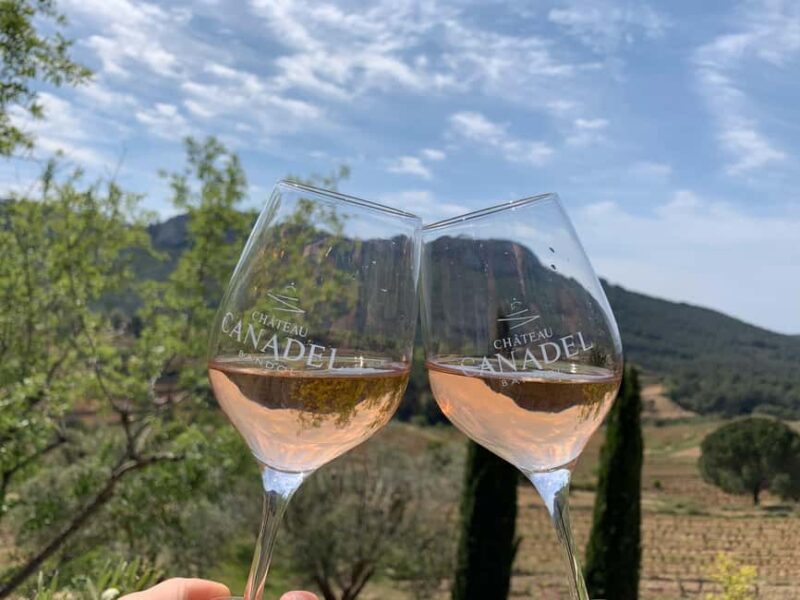 Bandol: family vineyard tour and tasting - Key Points