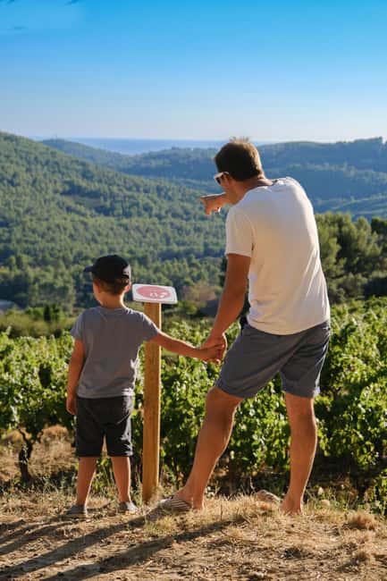Bandol: family vineyard tour and tasting - Guided Tour of the Terraced Vineyards and Organic Practices