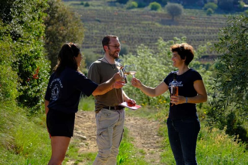 Bandol: family vineyard tour and tasting - Tour Highlights at Château Canadel