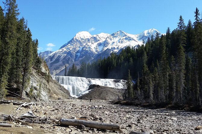 Banff: 4-Hour Evening Wildlife Viewing & Sunset Experience - Alpine Scenery from Tunnel Mountain Trail