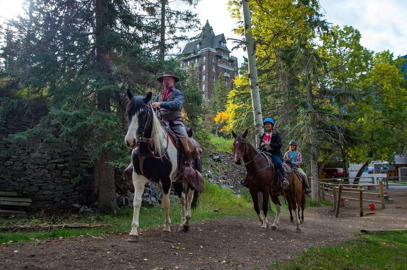 Banff: 4-Hour Sulphur Mountain Intermediate Horseback Ride - The Horses and Guides: Well-Trained Equines and Expert Leadership