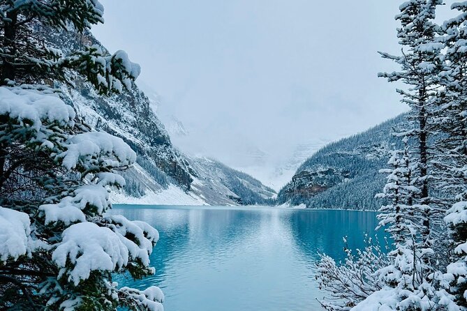 Banff and Yoho Rocky Mountain Discovery Day Tour from Calgary - Key Points