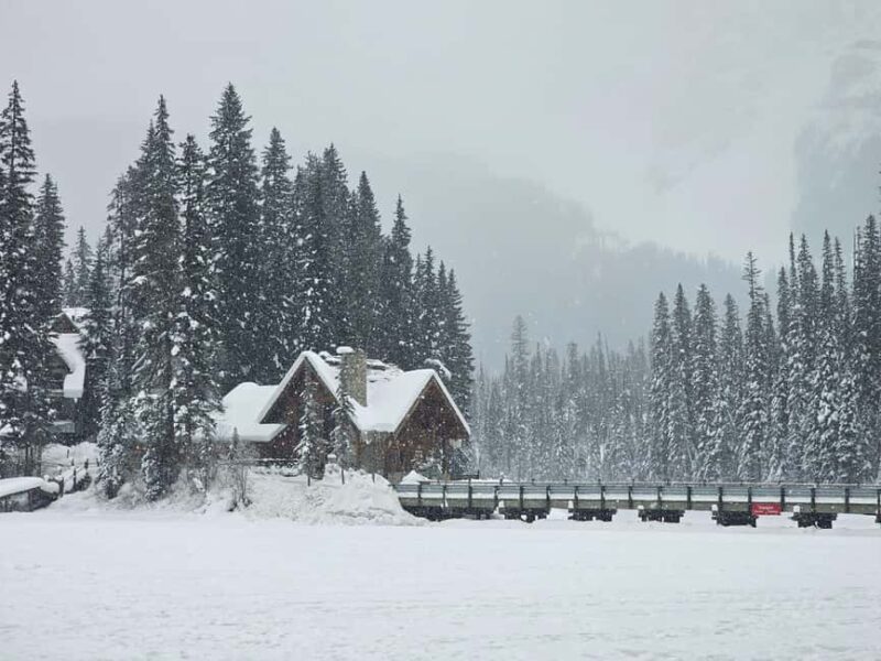Banff and Yoho Winter Wonderland Private Tour - Flexibility and Personalization in Your Day