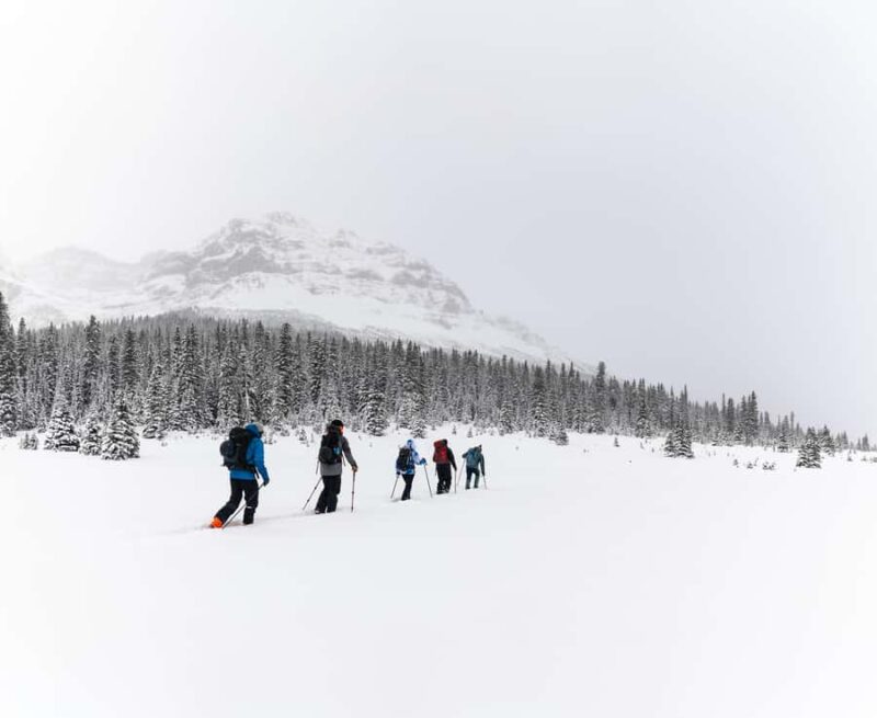 Banff: AST 1 - Avalanche Skills Training Level 1 - Key Points