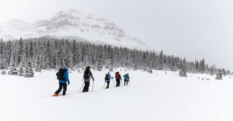 Banff: AST 1 - Avalanche Skills Training Level 1 - The Certification and Its Practical Value