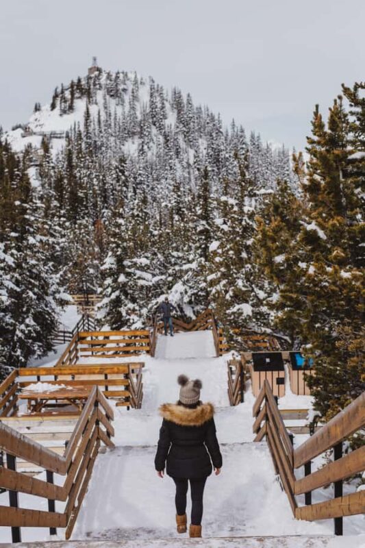 Banff: Banff Town, Gondola, and Canyon Day Tour - Sulphur Mountain Gondola: Breathtaking Panorama and Optional Ticketing